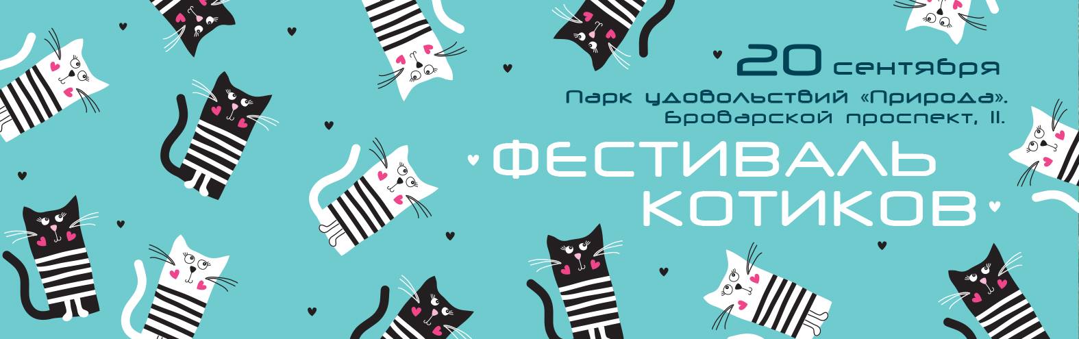 Фестиваль котиков New Slider