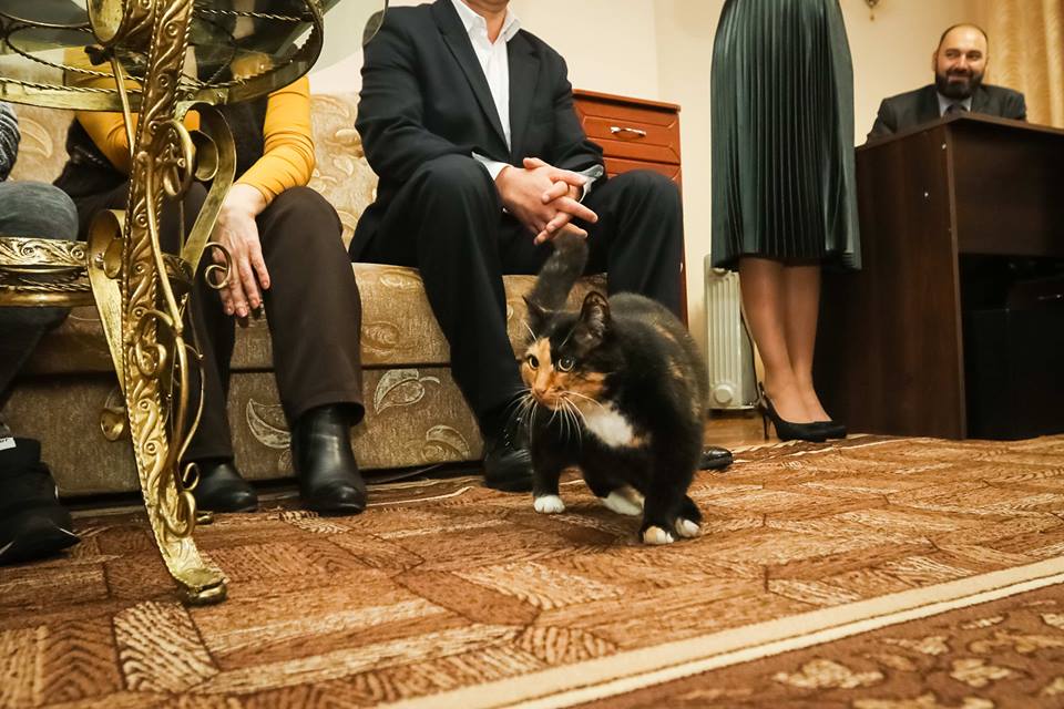 Влада Литовченко 6